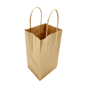 twisted - handle-paper-bag2