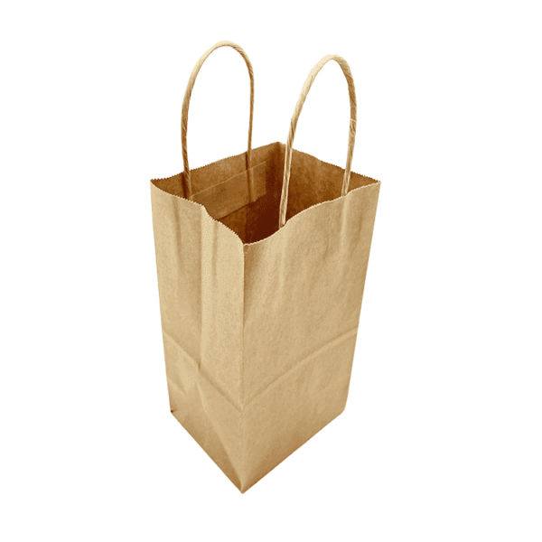 twisted - handle-paper-bag2