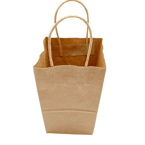 twisted - handle-paper-bag3
